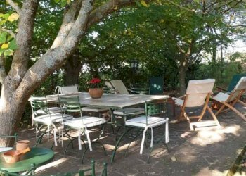 Giardino - Rustic SP6, Calvi dell'Umbria - photo 6