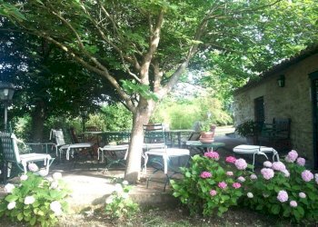 Giardino - Rustic SP6, Calvi dell'Umbria - photo 7