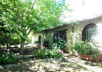 Giardino - Rustic SP6, Calvi dell'Umbria - photo 9