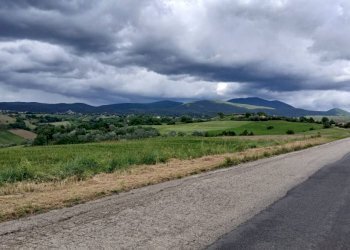 Terreno - Rustic SP6, Calvi dell'Umbria - photo 15