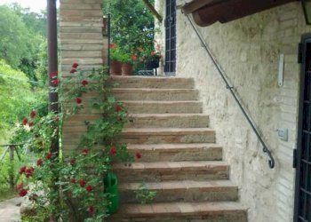 Scala - Rustic Frazione San Polo, Calvi dell'Umbria - photo 7