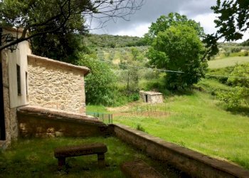 Terreno - Rustic Frazione San Polo, Calvi dell'Umbria - photo 8