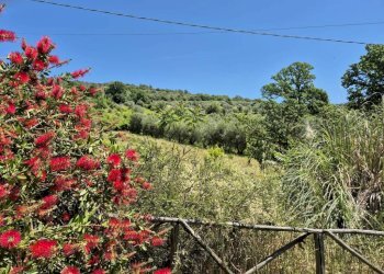 Terreno - Rustic Frazione San Polo, Calvi dell'Umbria - photo 30