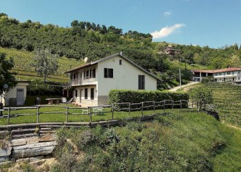 Terreno - Rustico Diano d'Alba - foto 10