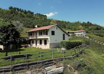 Vista - Rustico Diano d'Alba - foto 11
