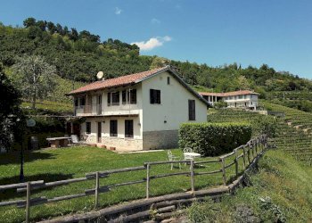 Vista - Rustico Diano d'Alba - foto 12