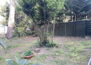 Terreno - Bilocale viale dei Pini, Ravenna (zona Porto Corsini) - foto 20