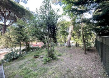 Terreno - Bilocale viale dei Pini, Ravenna (zona Porto Corsini) - foto 21