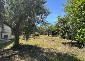 Terreno - Villa via del Melograno, 51, Anzio - photo 9
