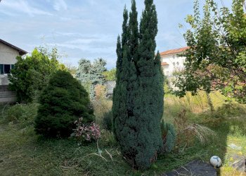 Foto 24 - Rustico via Giuseppe verdi, Fontaneto d'Agogna - foto 24