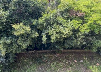 Vista - Two-room apartment via Gorizia, Bologna (neighborhood Saffi) - photo 11