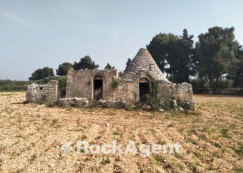 Terreno - Rustic cda Bellasora snc, Conversano - photo 3