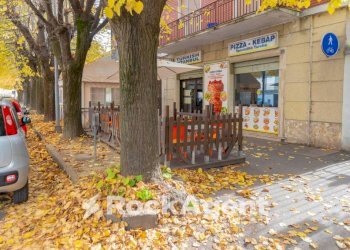 Zona - Food - Gastronomy Carmagnola - photo 3