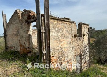 Terreno - Rustico SP 45, Moscufo - foto 14