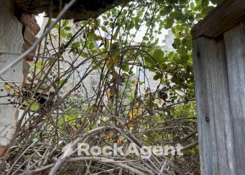 Terreno - Rustico SP 45, Moscufo - foto 20