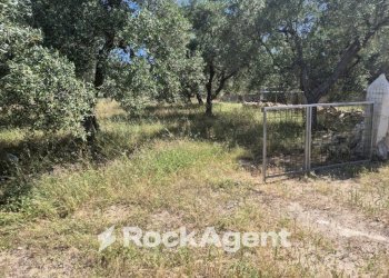 Terreno - Rustico viale Pandolfelli, Andria - foto 16