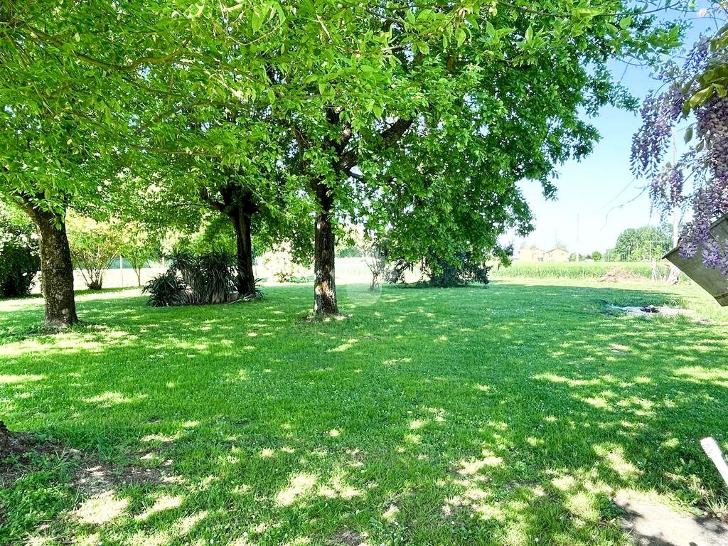 Independent house Via Tagliamenazzo, Molinella - photo 3