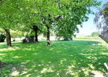 Independent house Via Tagliamenazzo, Molinella - photo 3
