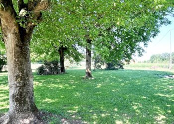 Independent house Via Tagliamenazzo, Molinella - photo 5