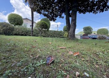 IMG_4022.jpeg - Villa Mussolente - foto 8