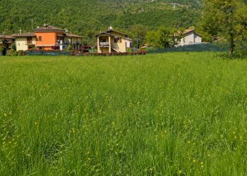 ChatGPT Image 21 mag 2026, 10_47_12 - Building land Vobarno - photo 6