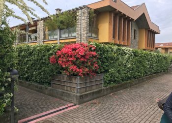 IMG_4358.JPG - Two-room apartment Desenzano del Garda - photo 5