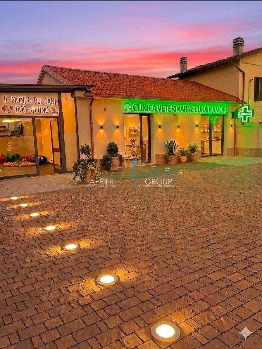 CentroIA - Locale Commerciale Via San Domenichino 11, Massa - foto 2