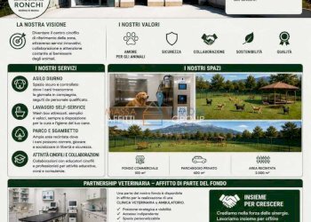 BrochureVet - Commercial Premises Via San Domenichino 11, Massa - photo 1
