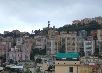 P1170447 - Apartment Via Nicolò Costa 17, Genova (neighborhood Staglieno) - photo 6