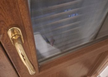 20230928_194125.jpg - Three-room apartment VIA GIACINTO COLLEGNO  5, Torino (neighborhood San Donato) - photo 24