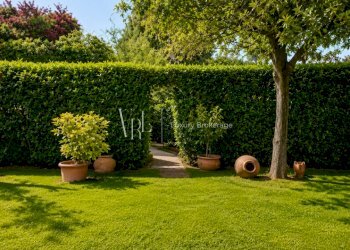 3.1 - Independent house Roma - photo 4