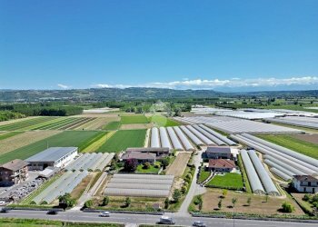 Terreno edificabile Strada Orti, Bra - foto 7