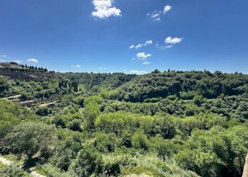 Three-room apartment Pitigliano - photo 11