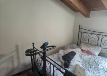Trilocale Bologna (zona Lame) - foto 7