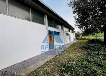 Foto 5 - Magazzino San Miniato - foto 5