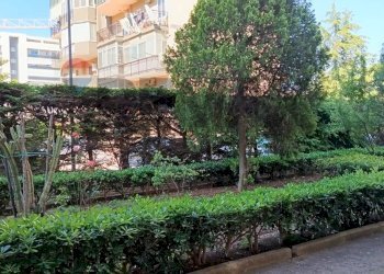 Giardino - Appartamento Via Francesco Pascazio
 
1, Bari - foto 10