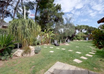 Giardino - Casa semi indipendente Strada Statale 16 Km 788+400, Giovinazzo - foto 24