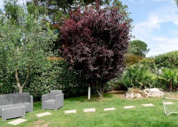 Giardino - Casa semi indipendente Via Bari
 
236, Giovinazzo - foto 27