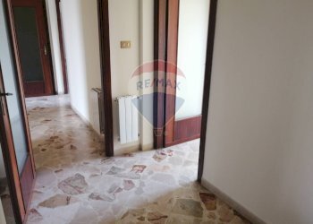 Disimpegno - Quadrilocale Viale Regione Siciliana Nord Ovest
 
3350, Palermo - foto 12