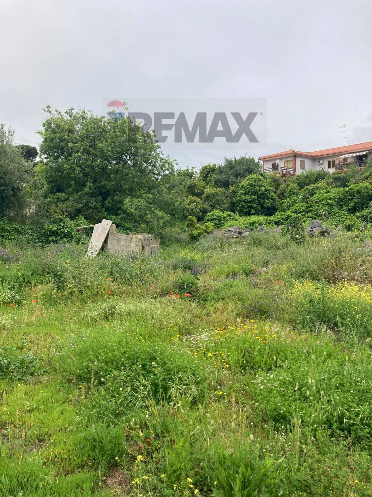 Giardino - Terreno edificabile Via Sottotenente Lombardo
13, San Pietro Clarenza - foto 2