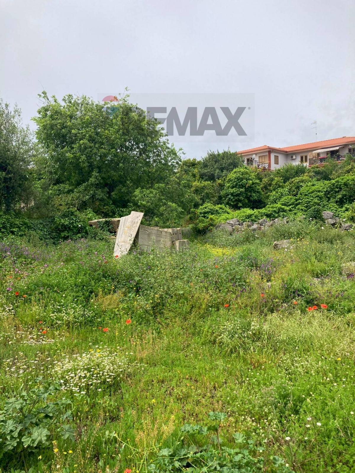Giardino - Terreno edificabile Via Sottotenente Lombardo
13, San Pietro Clarenza - foto 3