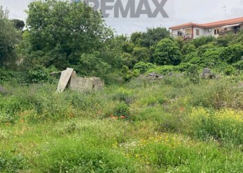 Giardino - Terreno edificabile Via Sottotenente Lombardo
13, San Pietro Clarenza - foto 2