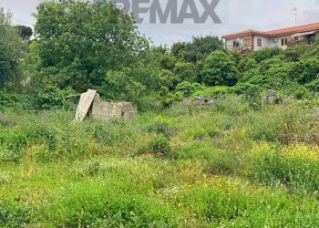 Giardino - Terreno edificabile Via Sottotenente Lombardo
13, San Pietro Clarenza - foto 5