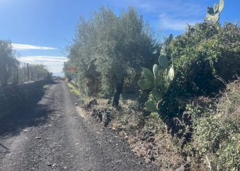 Non correlato - Terreno agricolo Strada Comunale Decima
snc, Belpasso - foto 4