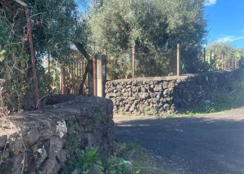 Giardino - Terreno agricolo Strada Comunale Decima
snc, Belpasso - foto 11