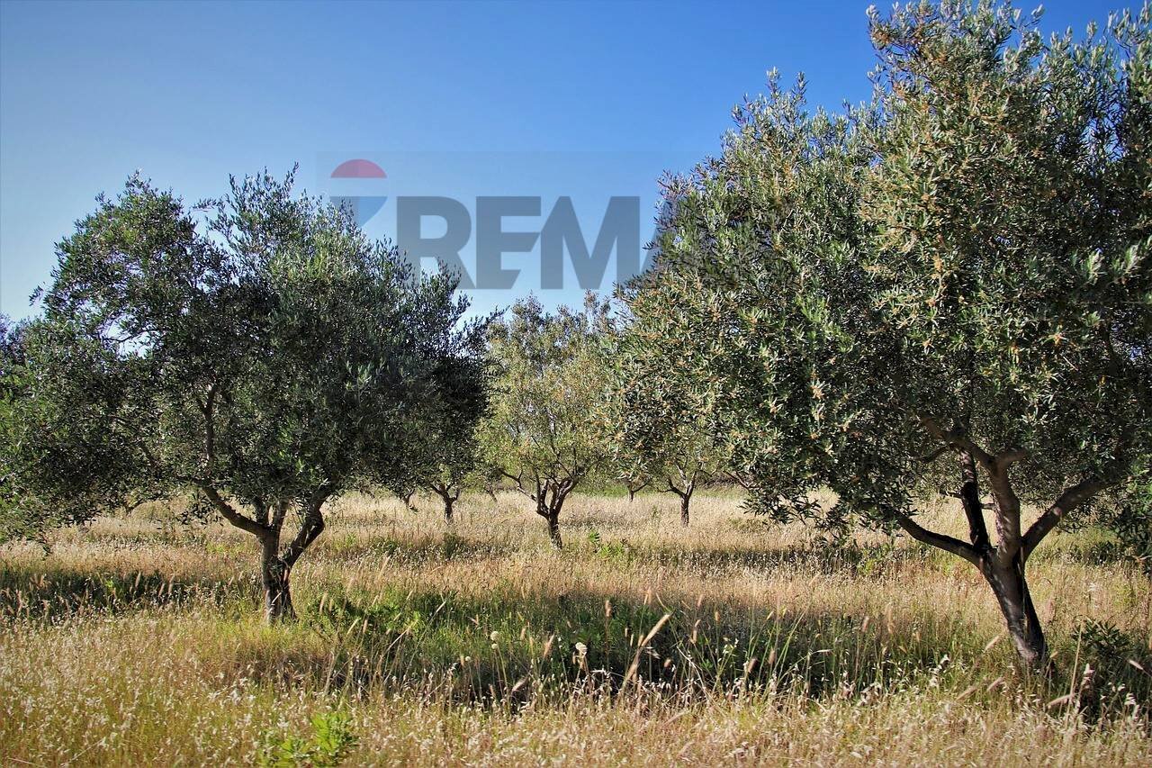 Giardino - Agricultural land Contrada Timpa (Sferro)
 
snc, Ramacca - photo 1