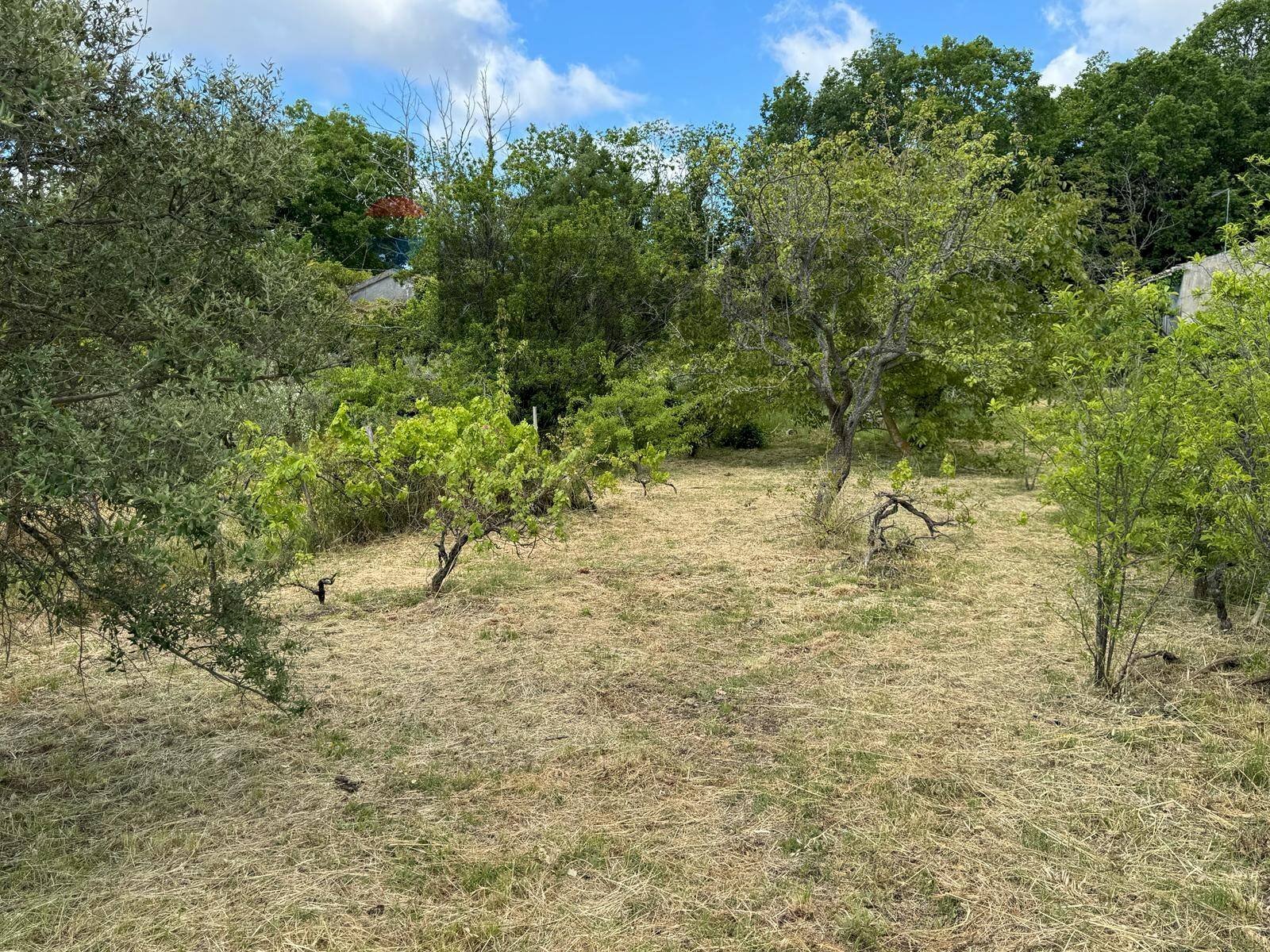 Giardino - Terreno agricolo C.DA FOSSA DEL PERO
 
SN, Trecastagni - foto 3