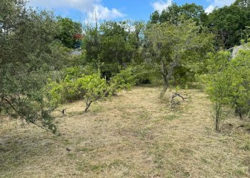 Giardino - Terreno agricolo C.DA FOSSA DEL PERO
SN, Trecastagni - foto 3