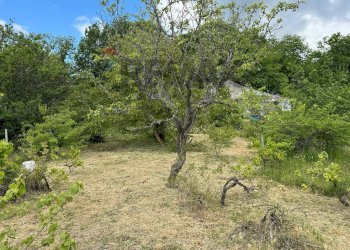 Giardino - Terreno agricolo C.DA FOSSA DEL PERO
SN, Trecastagni - foto 5