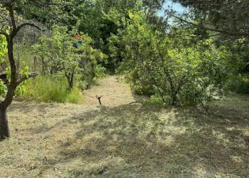 Giardino - Terreno agricolo C.DA FOSSA DEL PERO
SN, Trecastagni - foto 7